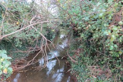 29.-Looking-downstream-from-ROW-Bridge-602