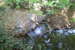 3.-Upstream-from-Durleigh-Bridge-3
