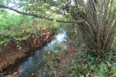 3.-Upstream-from-Durleigh-Bridge-5