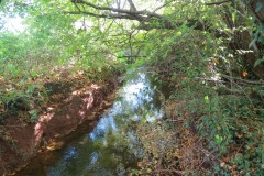 3.-Upstream-from-Durleigh-Bridge-6