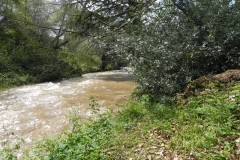 49. Upstream from Roadwater Recreation Ground