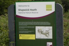 36a.-Shapwick-Nature-Reserve
