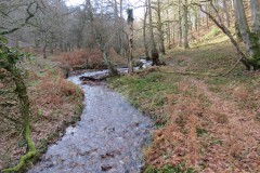 10.-Flowing-through-Shepherds-Combe-3
