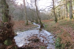 10.-Flowing-through-Shepherds-Combe-4