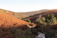2.-Downstream-from-source