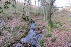 8.-Flowing-through-Shepherds-Combe-12