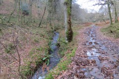 8.-Flowing-through-Shepherds-Combe-5