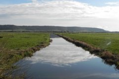 35.-Looking-upstream-from-Greylake-Farm-Bridge