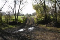 36.-Greylake-Farm-Bridge