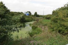 65.-A370-Bridge-upstream-arch-1