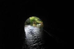 IMG_1130