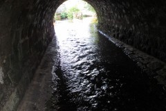 IMG_1131