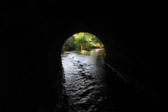 IMG_1132