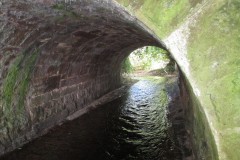 IMG_1141