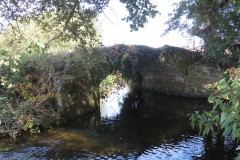 IMG_1321