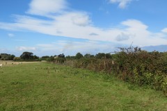 IMG_1326