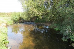 IMG_1329