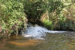 IMG_1355