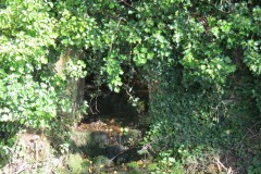 IMG_1358