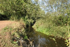 IMG_1400