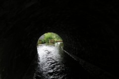 IMG_1406