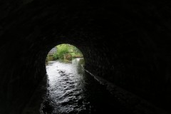 IMG_1407