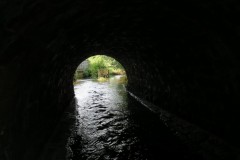 IMG_1408