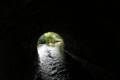 IMG_1409
