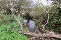10.-Downstream-from-Yeo-Farms-Permissive-footpath-bridge-4