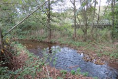 11.-Upstream-from-A39-Bridge-2