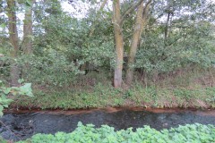 11.-Upstream-from-A39-Bridge-3