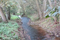 11.-Upstream-from-A39-Bridge-4