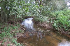 12.-Upstream-from-A39-Bridge-4