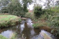 2.-Downstream-to-Yeo-Farms-new-bridge-4