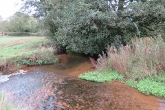2.-Downstream-to-Yeo-Farms-new-bridge-5