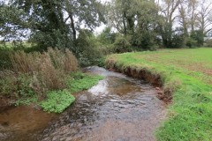 2.-Downstream-to-Yeo-Farms-new-bridge-6