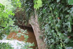 4.-Yeo-Farms-old-bridge-upstream-arch