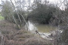 15.-River-View-Upstream-from-Mudford