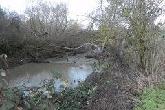 16.-River-View-Upstream-from-Mudford