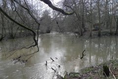 63.-Dodham-Brook-joins-from-the-right