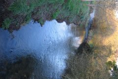 Near-to-Carlingcott