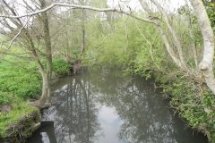 17.-Looking-Downstream-from-Carey-Mill-Bridge