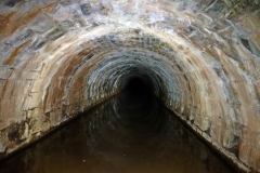 Lillesdon-tunnel10