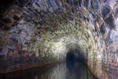 Lillesdon-tunnel11