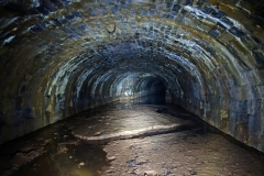 Lillesdon-tunnel12