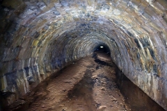 Lillesdon-tunnel13