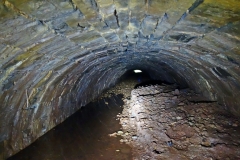 Lillesdon-tunnel14