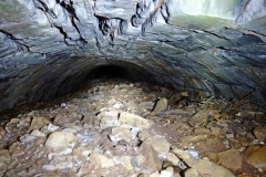 Lillesdon-tunnel3