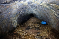 Lillesdon-tunnel5