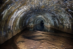Lillesdon-tunnel6